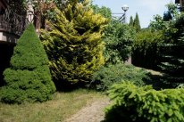 foto_011